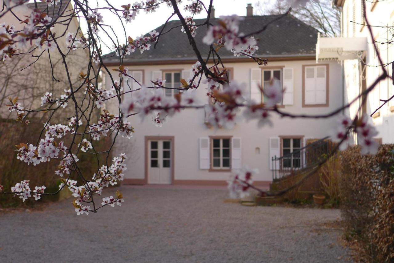 La Maison Carre Wolxheim Zewnętrze zdjęcie